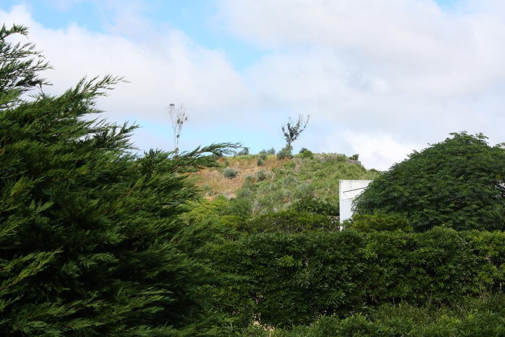 Apartamento Mar E Serra Ponta Delgada Buitenkant foto